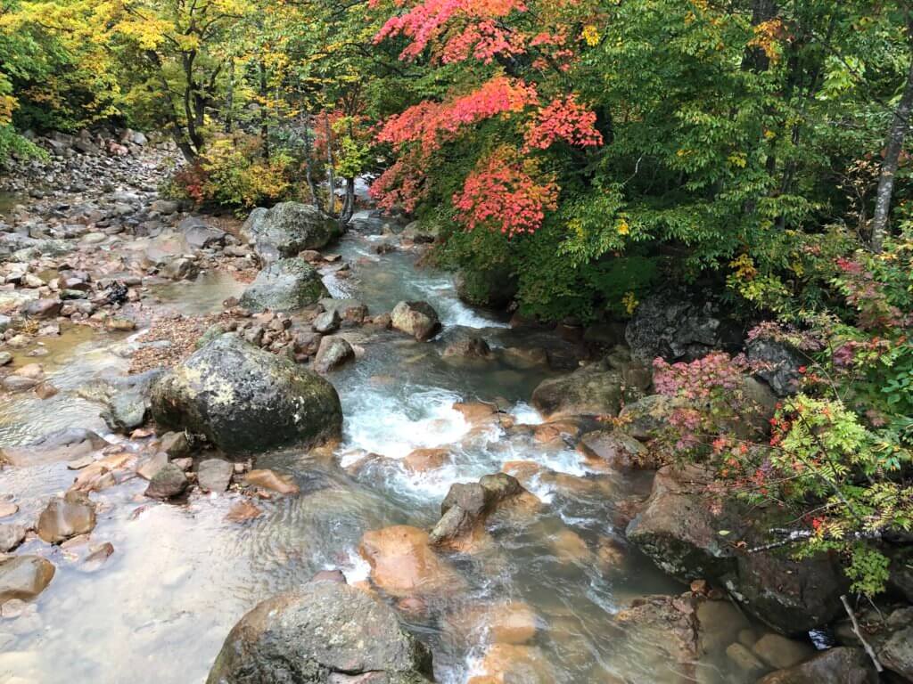 乳頭温泉郷の川と紅葉